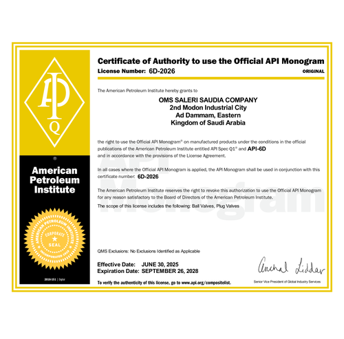 API 6D certificate